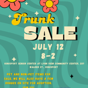 Trunk Sale Flyer