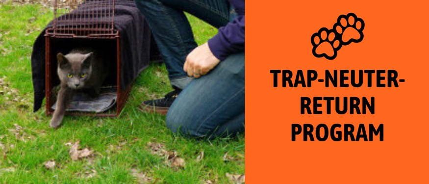 Trap-neuter-return